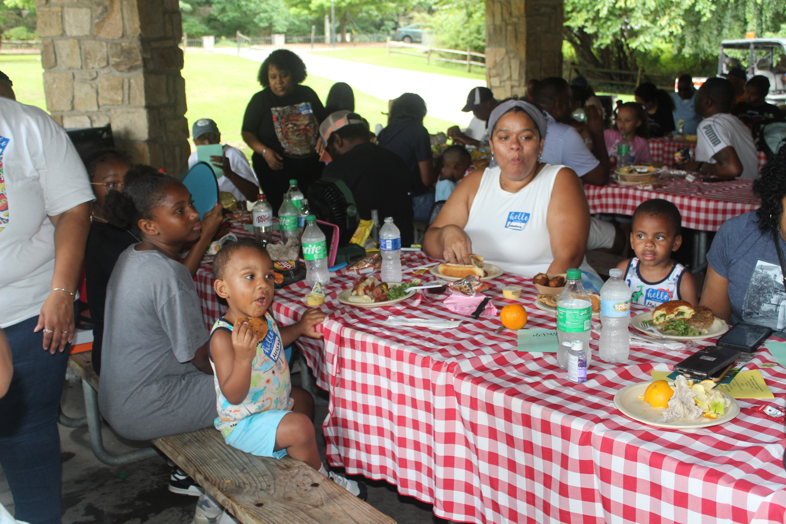 46TH TRAWICK FAMILY REUNION - STONE MOUNTAIN GA PAVILLION